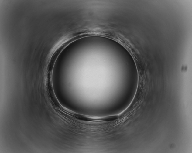 X0000098100344200804041249