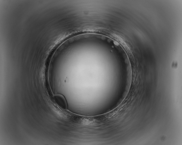 X0000098100346200804041249