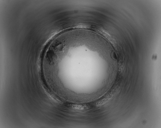 X0000098100347200804041249