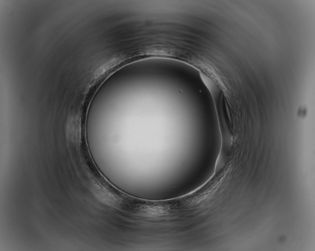 X0000098100349200804041249