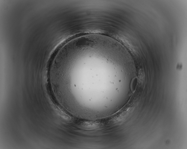 X0000098100351200804041249
