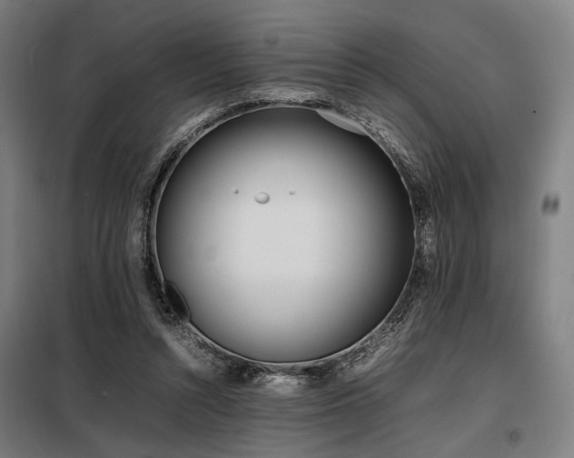 X0000098100352200804041249