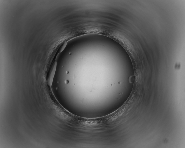 X0000098100353200804041249