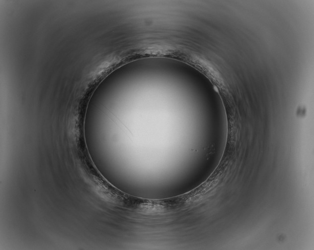 X0000098100354200804041249
