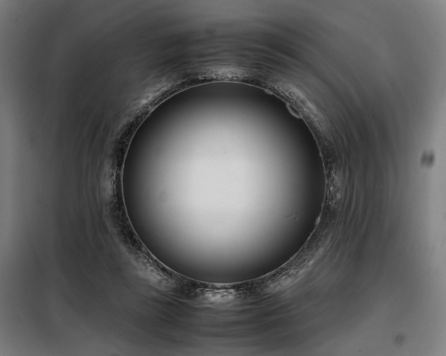 X0000098100355200804041249