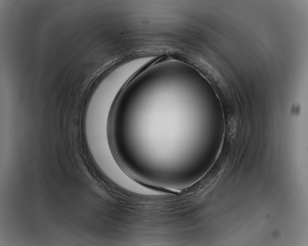 X0000098100356200804041249