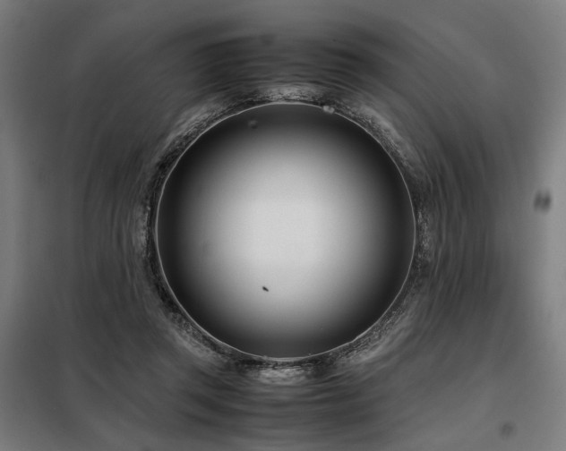 X0000098100357200804041249
