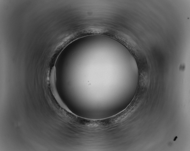 X0000098100358200804041249