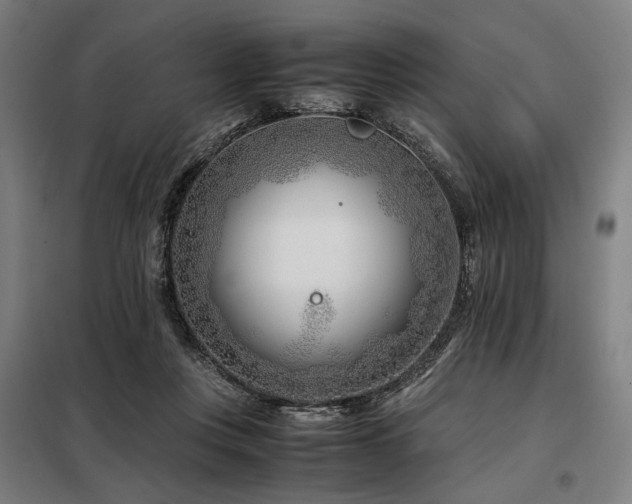 X0000098100359200804041249