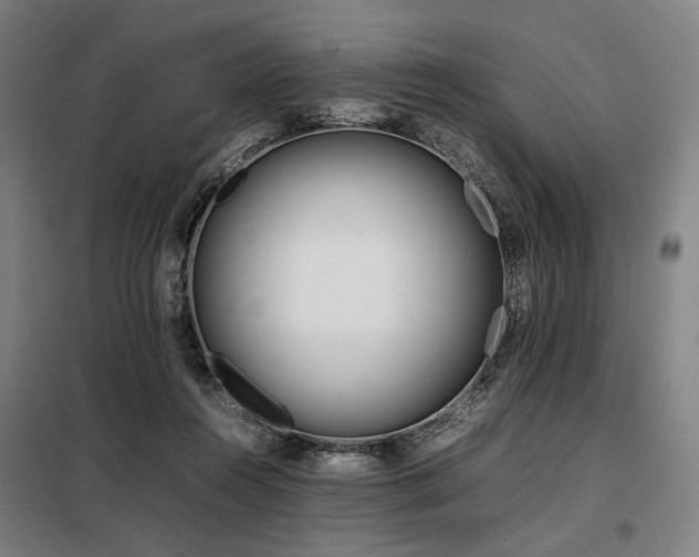 X0000098100360200804041249