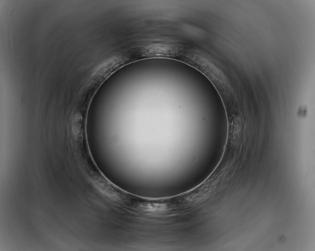 X0000098100361200804041249