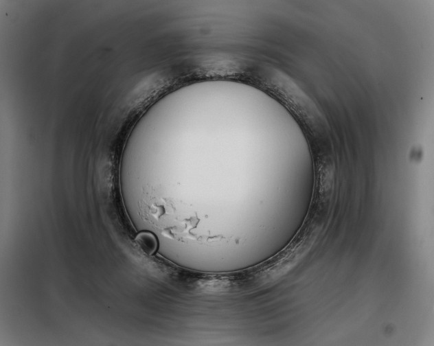 X0000098100362200804041249