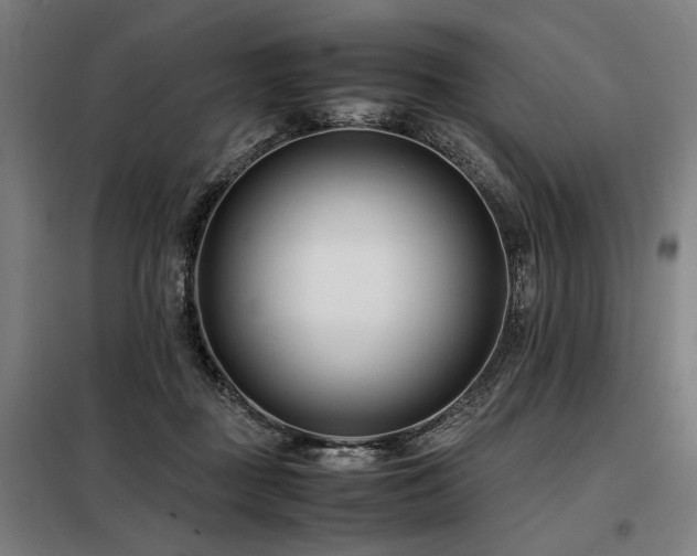 X0000098100363200804041249