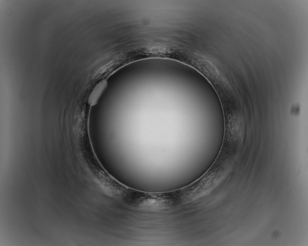 X0000098100364200804041249