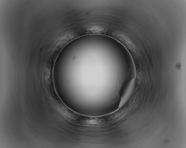X0000098100365200804041249