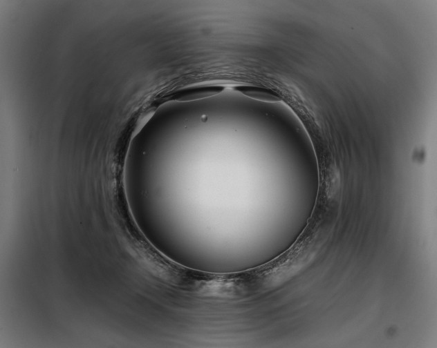 X0000098100366200804041249
