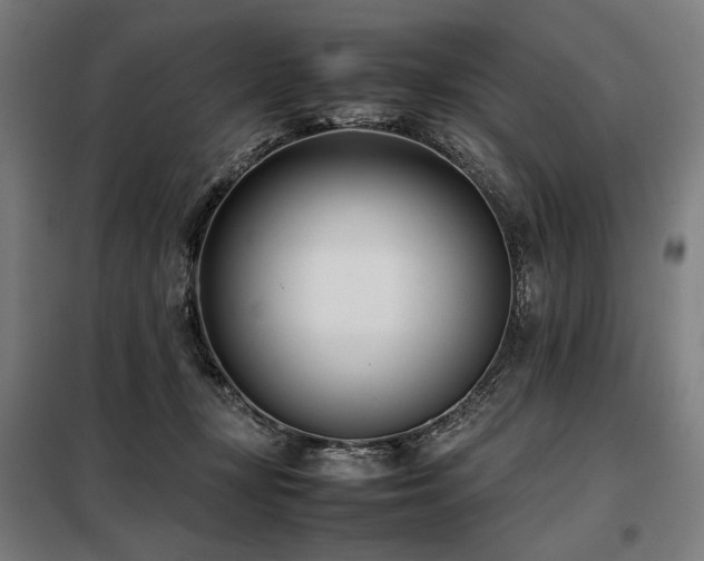 X0000098100367200804041249