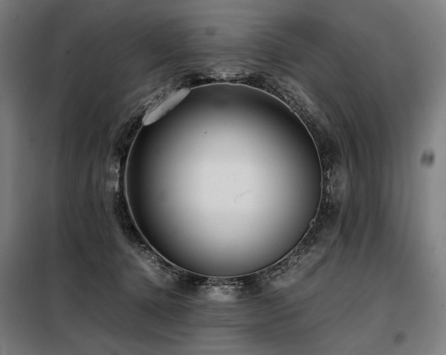 X0000098100368200804041249