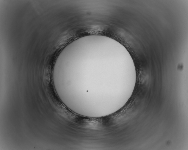X0000098100370200804041249