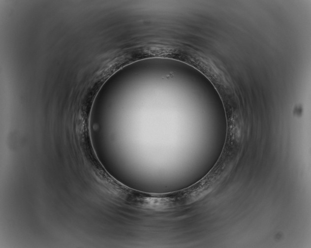 X0000098100371200804041249