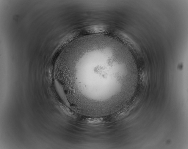 X0000098100373200804041249