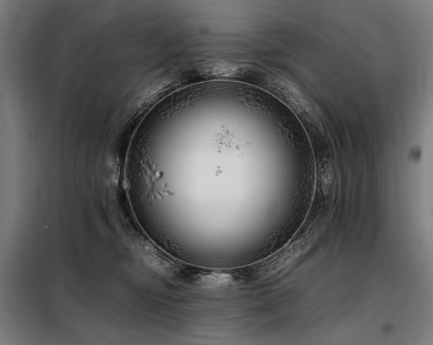 X0000098100374200804041249