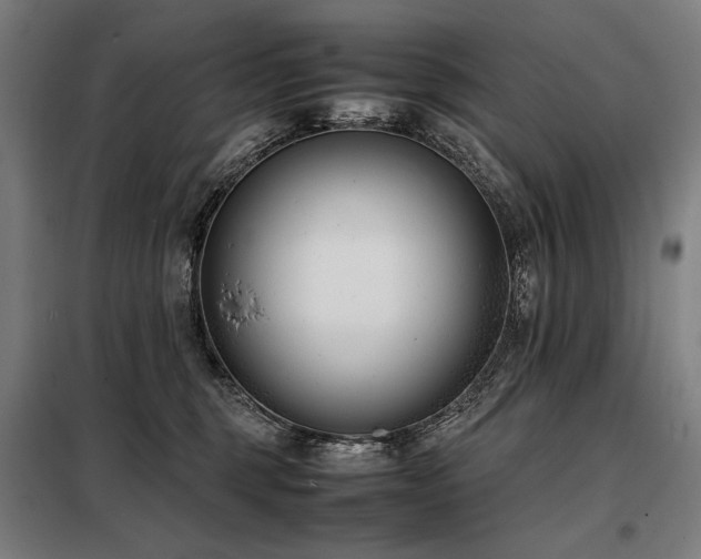 X0000098100375200804041249