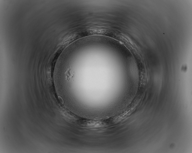 X0000098100377200804041249