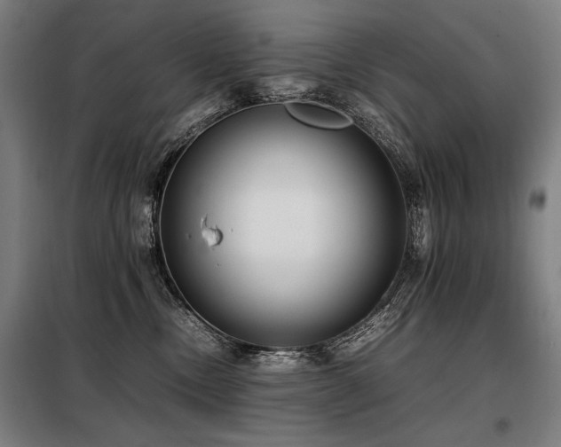 X0000098100378200804041249