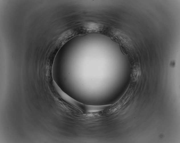X0000098100379200804041249