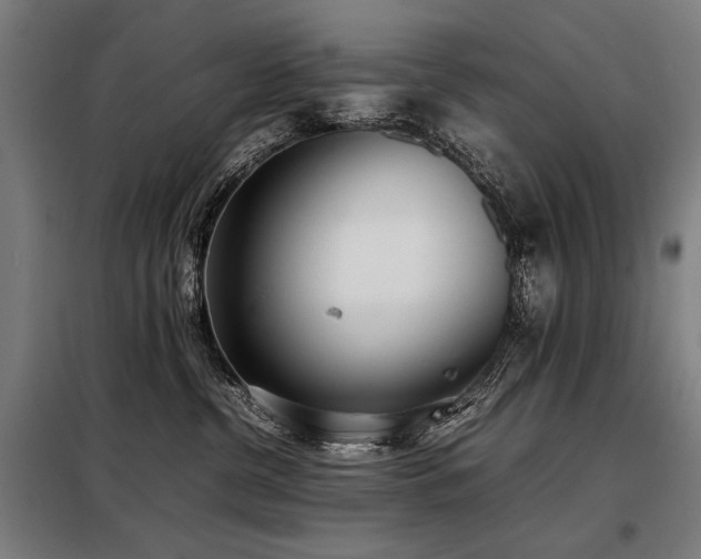 X0000098100380200804041249