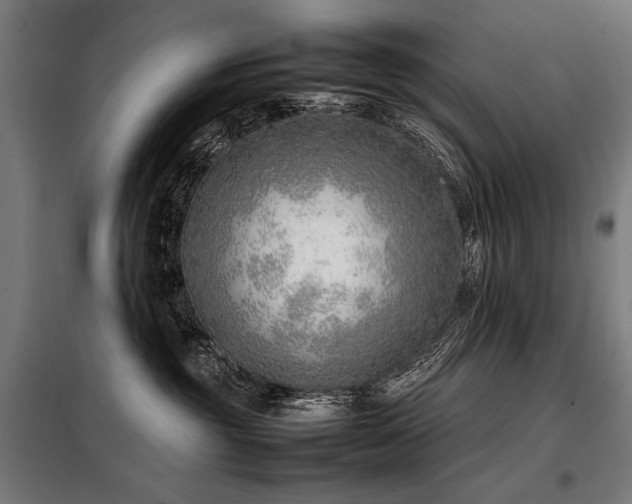 X0000098100381200804041249