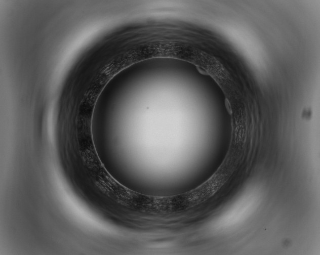 X0000098100383200804041249