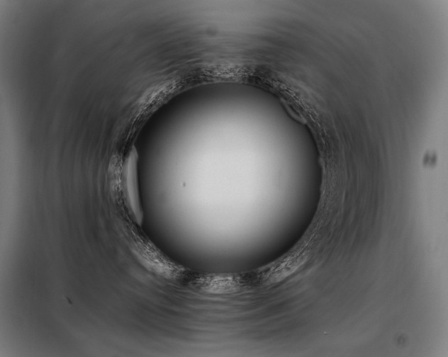 X0000098100384200804041249