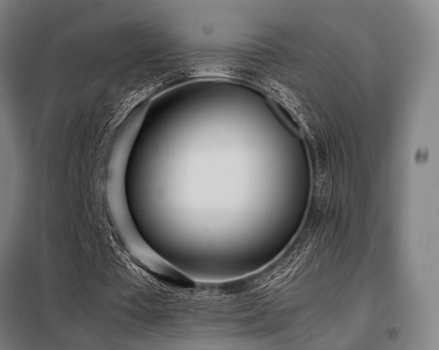 X0000098100385200804041249