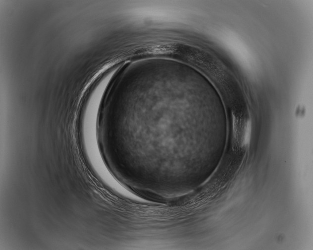 X0000098100387200804041249