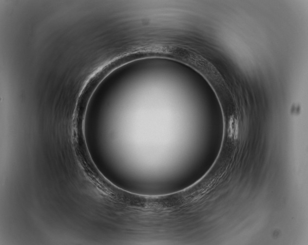 X0000098100388200804041249