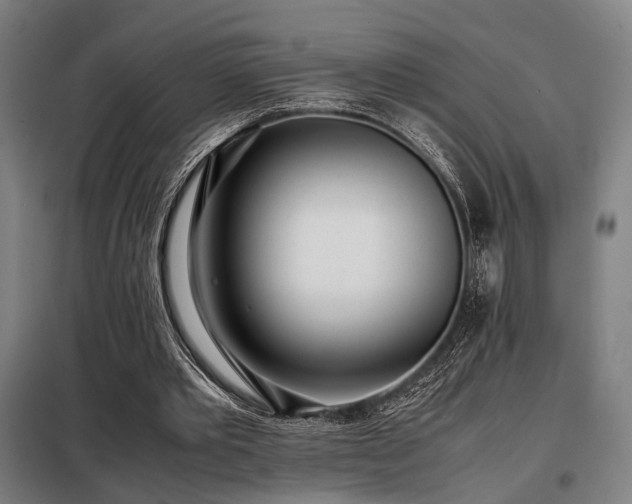 X0000098100389200804041249
