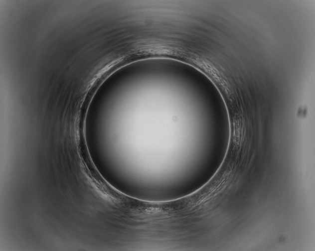 X0000098100390200804041249