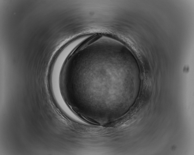 X0000098100391200804041249