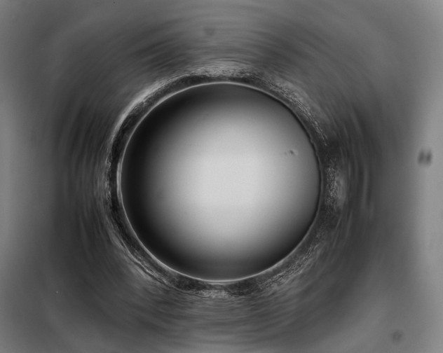 X0000098100392200804041249