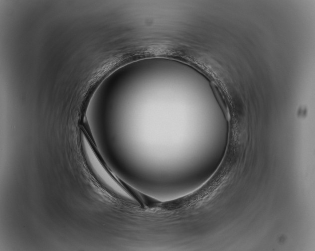 X0000098100393200804041249