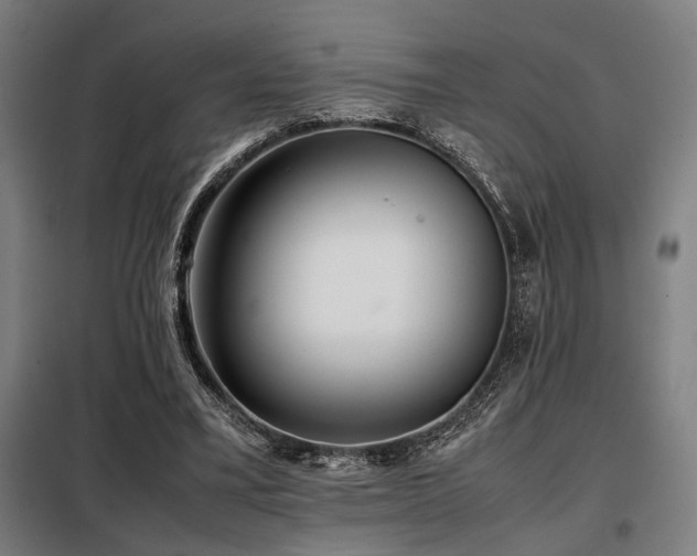 X0000098100395200804041249