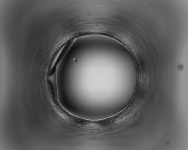 X0000098100397200804041249