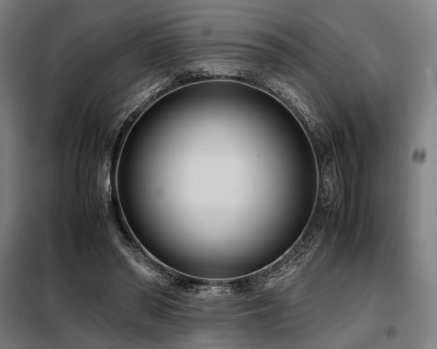 X0000098100398200804041249