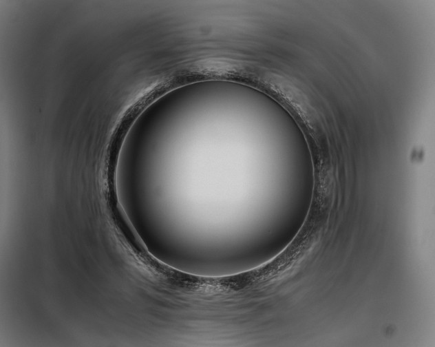 X0000098100399200804041249