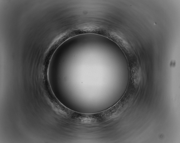 X0000098100400200804041249