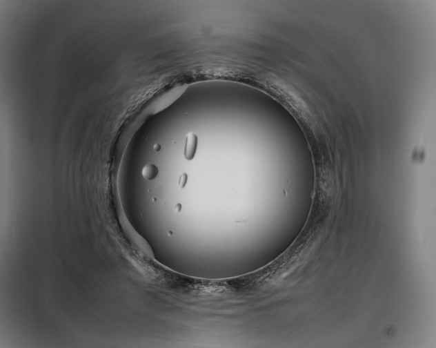 X0000098100401200804041249