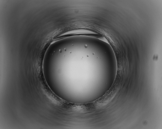 X0000098100402200804041249