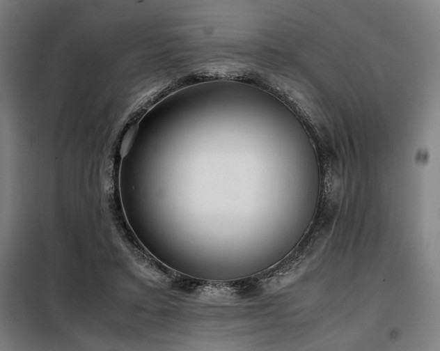 X0000098100403200804041248
